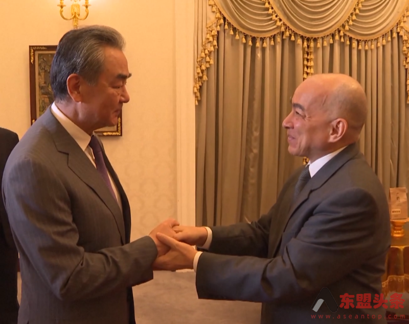 柬埔寨国王西哈莫尼会见中共中央政治局委员、中国外长王毅