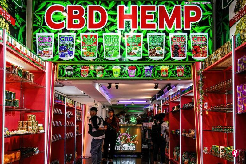 泰国总理：今年底前重列大麻为麻醉类毒品