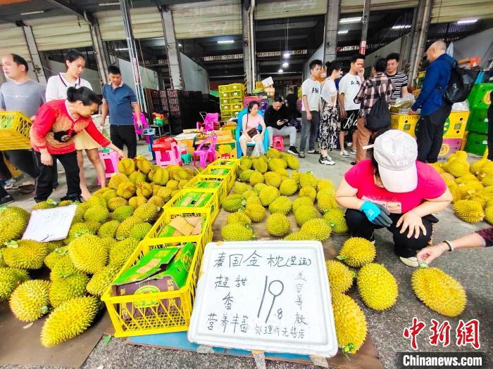 中国—东盟水果生意旺 　榴莲降价热销