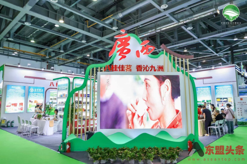 从茶叶到“茶业” 梧州推动六堡茶产业多领域“出圈”