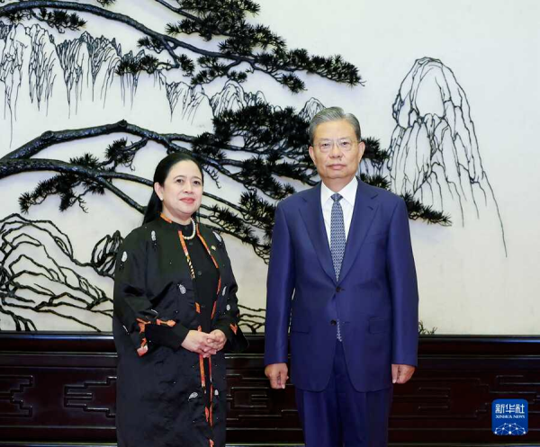 中国全国人大常委会委员长赵乐际同印尼国会议长布安举行会谈