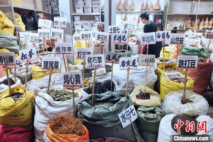中国广西玉林深化与东盟医药健康产业合作