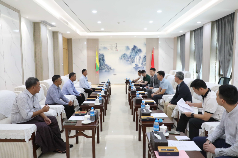 中国驻缅甸使馆赴若开邦皎漂考察
