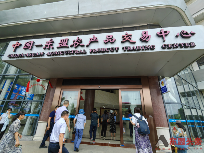  广西百色构建现代物流体系 助优质蔬果行销海外