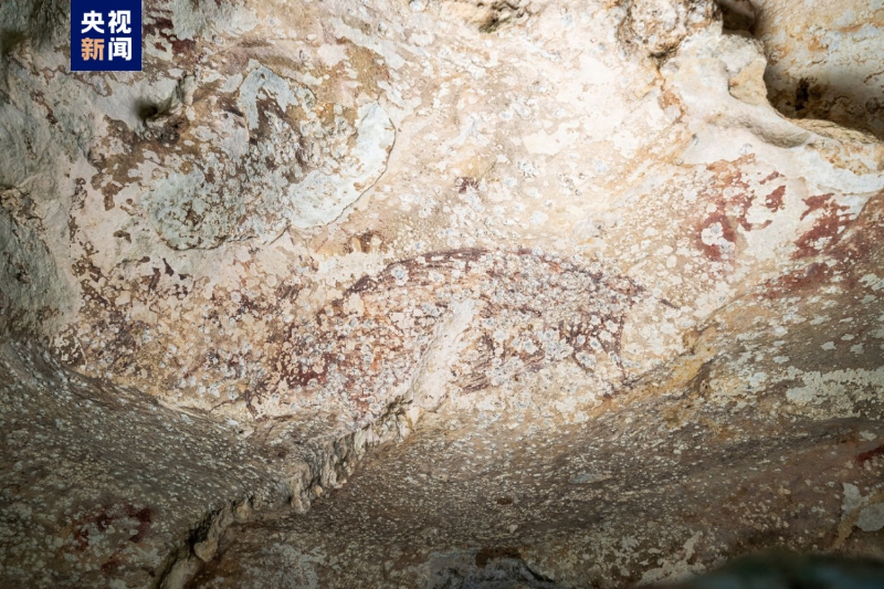 距今超5.1万年 印尼发现世界已知最古老洞穴绘画	