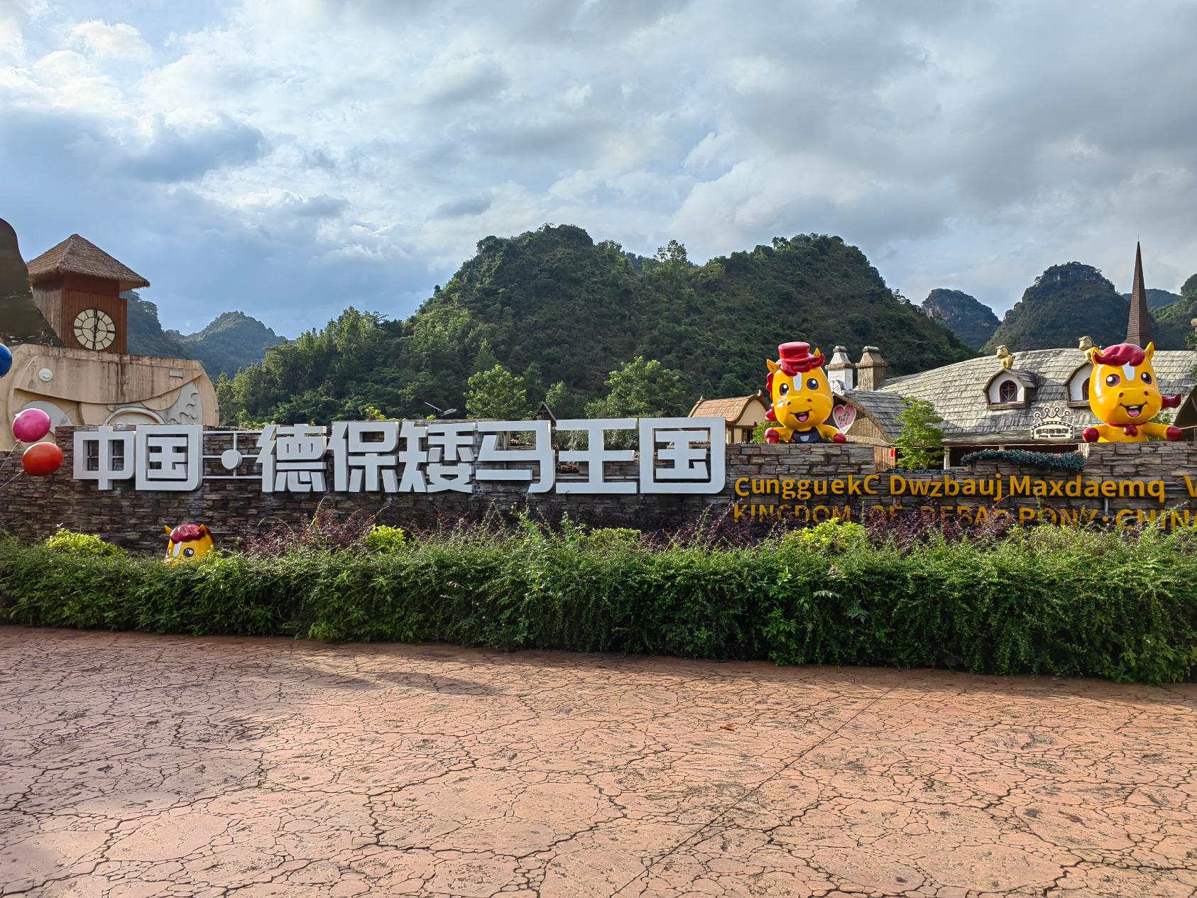 德保矮马：一个从深山走向国际视野的文化符号