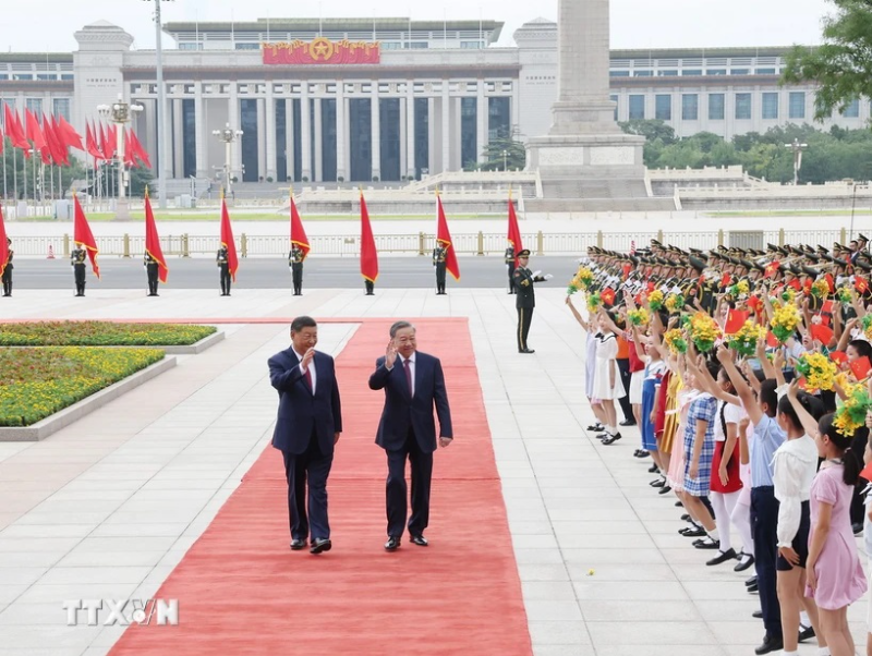 中共中央总书记、中国国家主席习近平同越共中央总书记、越南国家主席苏林会谈