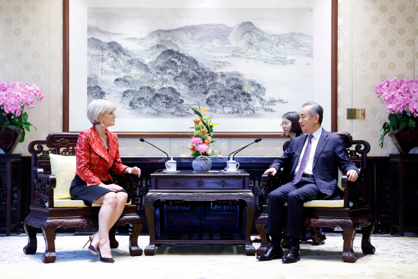 Chinese FM Meets with Special Envoy of the United Nations Secretary-General on Myanmar