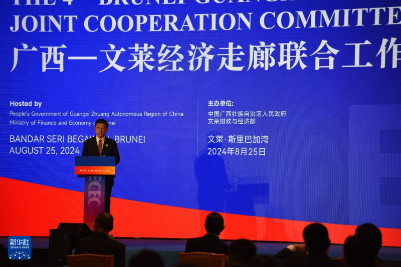 中国广西与文莱合作助推东盟区域产业对接