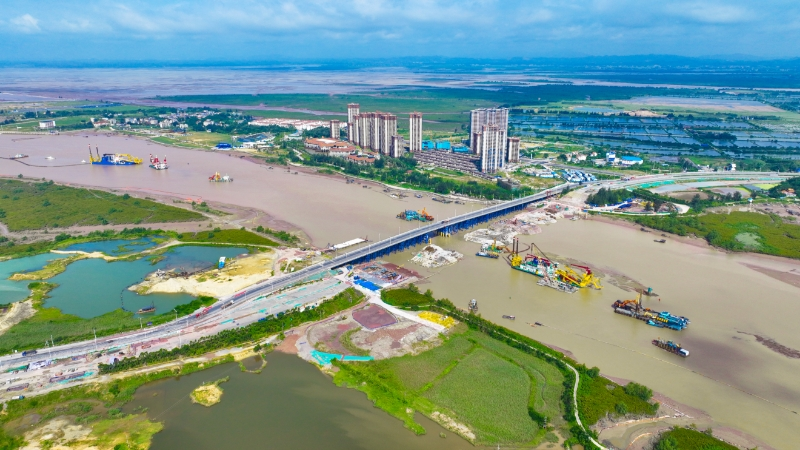 Go Green: Fish regain way home when oyster migrants settle down at Pinglu Canal