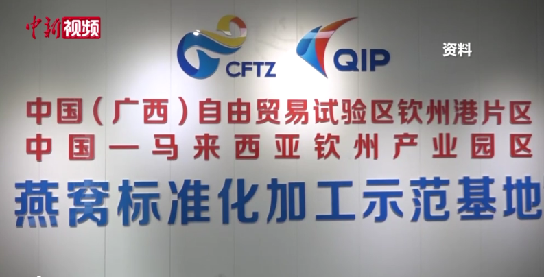 西部陆海新通道出海口成马来西亚燕窝入华桥头堡