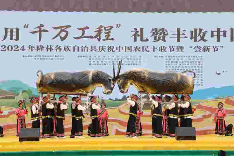 广西隆林：多彩活动庆丰收