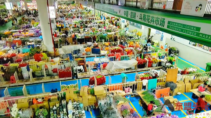 海外华文媒体参访云南昆明斗南花卉市场