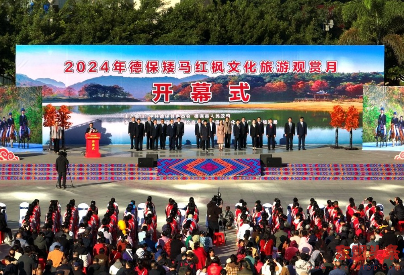 广西百色德保县2024年德保矮马红枫文化旅游观赏月盛大开幕