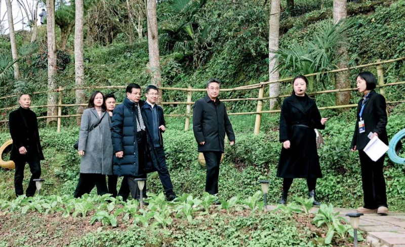 老挝驻华大使宋蓬应邀参加中国乡村振兴体验活动