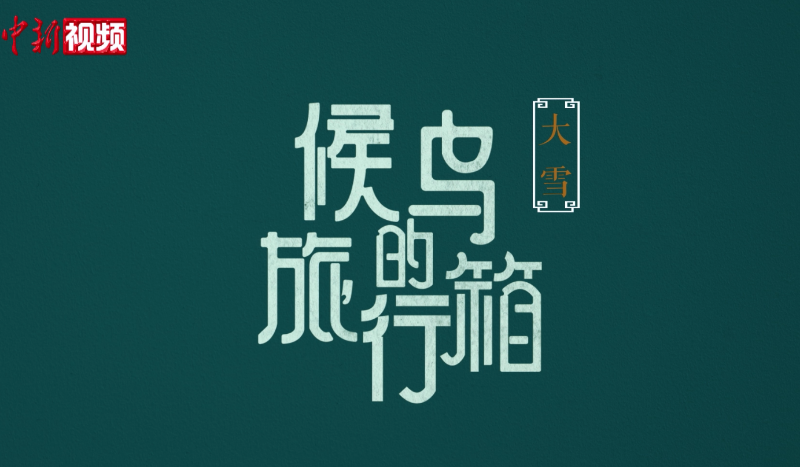 候鸟的旅行箱丨第十八集：大雪