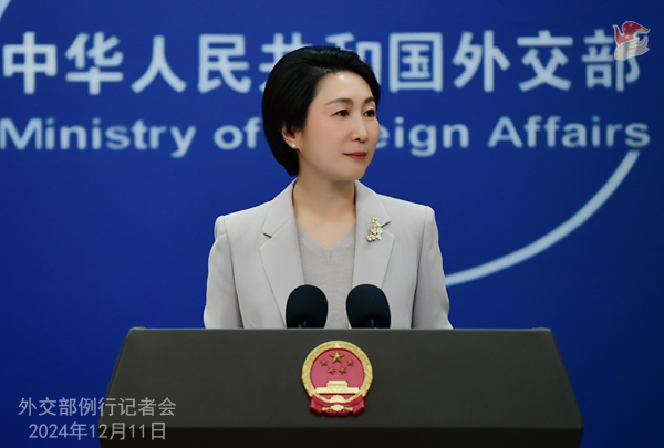 加拿大以违反人权为由对中国有关人员制裁 中国外交部：予以强烈谴责 典型的贼喊捉贼