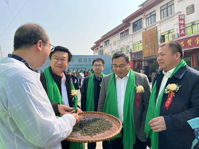 何以领鲜，唯有早春——2025广西“中国早春第一茶”系列活动盛大开启