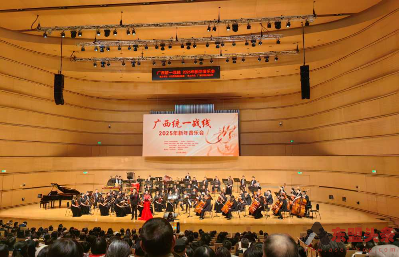 广西统一战线2025年新年音乐会在南宁举行