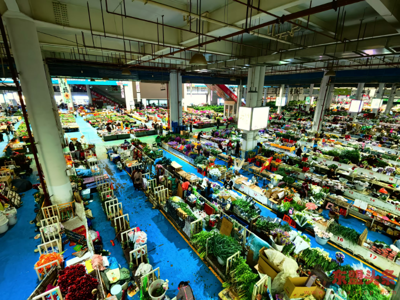 China's Consumer Price Index up 0.2 pct in 2024