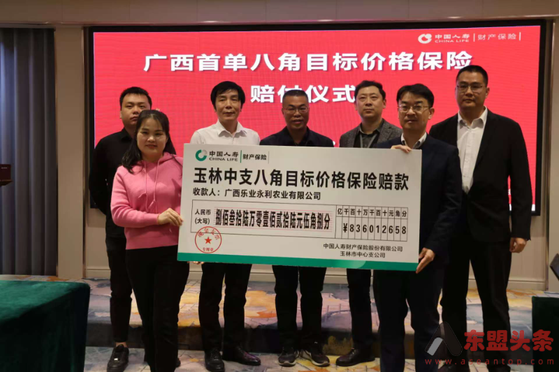 广西首单八角目标价格保险在玉林赔付