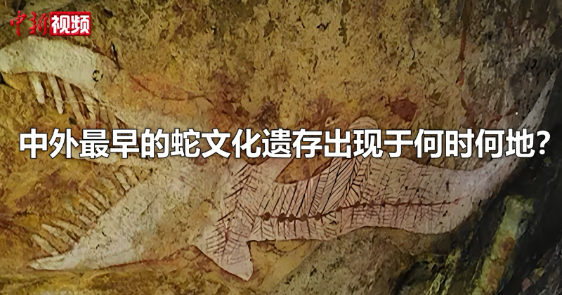 【东西问】中外最早的蛇文化遗存出现于何时何地？