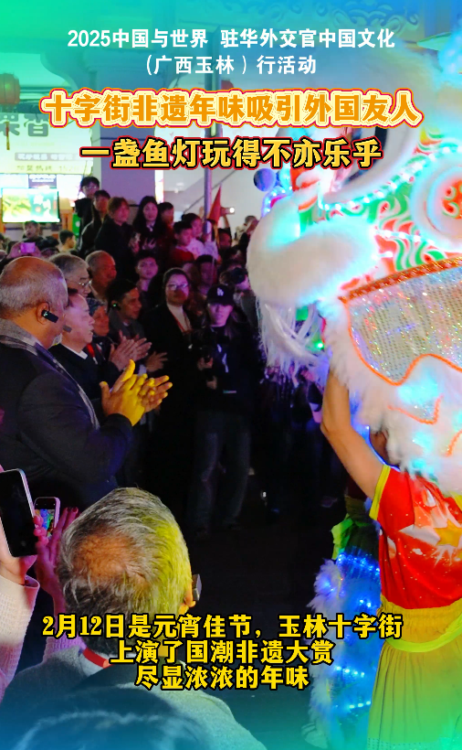 驻华外交官中国文化（广西玉林）行活动，玉林十字街元宵活动吸引众人