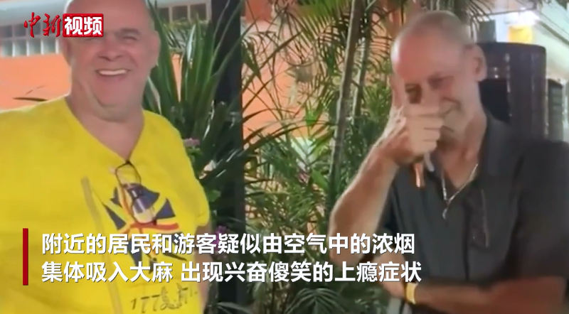 泰国芭堤雅大麻种植园起火 附近民众疑集体吸入大麻出现傻笑等症状