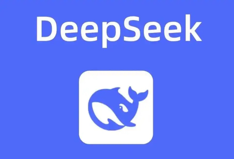 DeepSeek 的“修炼”之路，还要闯几关？