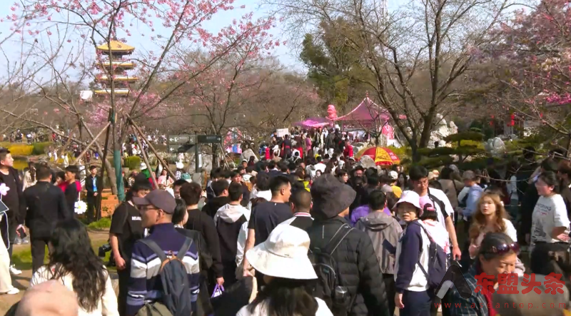 中国免签政策激发入境游市场活力