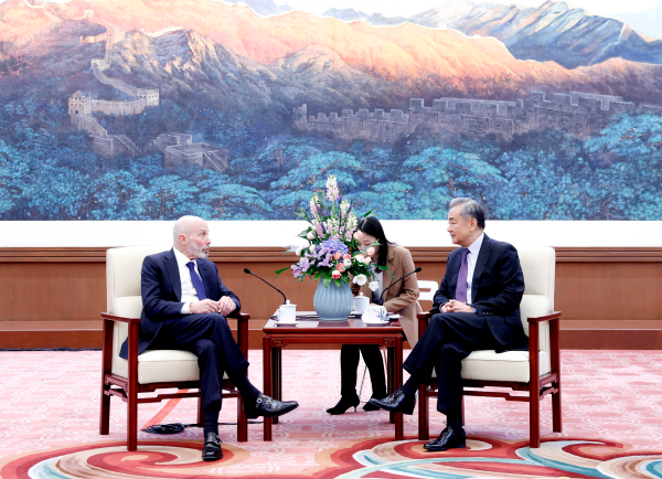 中国外长王毅会见美中关系全国委员会董事会执行副主席格林伯格