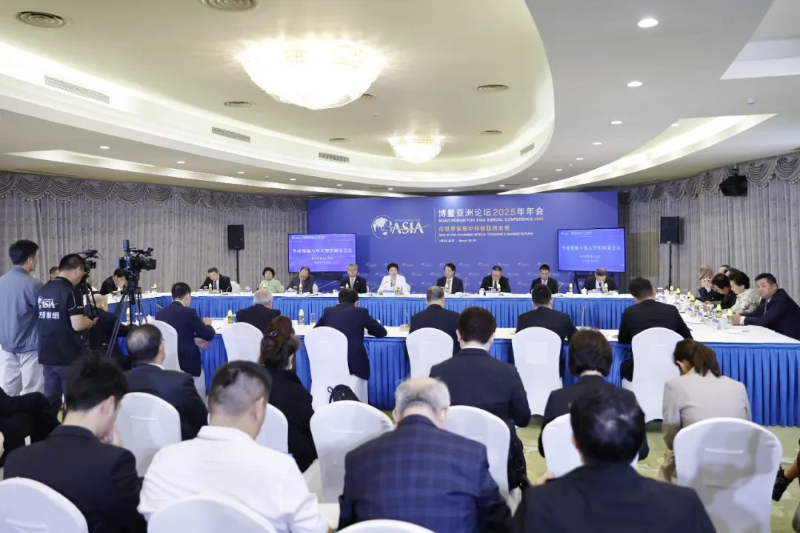 华商领袖与华人智库圆桌会议在海南博鳌召开