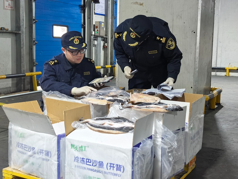 老挝养殖巴沙鱼首次实现水产品贸易通关 进入中国市场