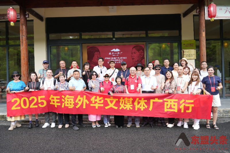 海外华文媒体广西梧州品六堡 探寻千年茶香里的“乡愁味”