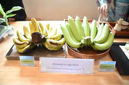 泰国将依据泰日经济合作伙伴关系协议扩大香芽蕉对日本的出口