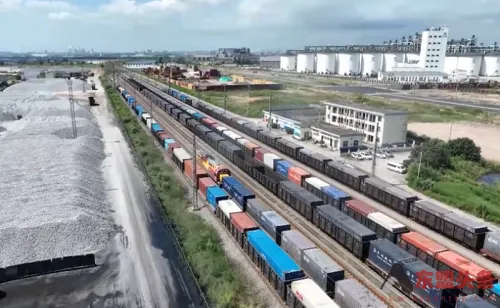 China's land-sea trade corridor sees freight exceed 1 mln TEUs in 2025