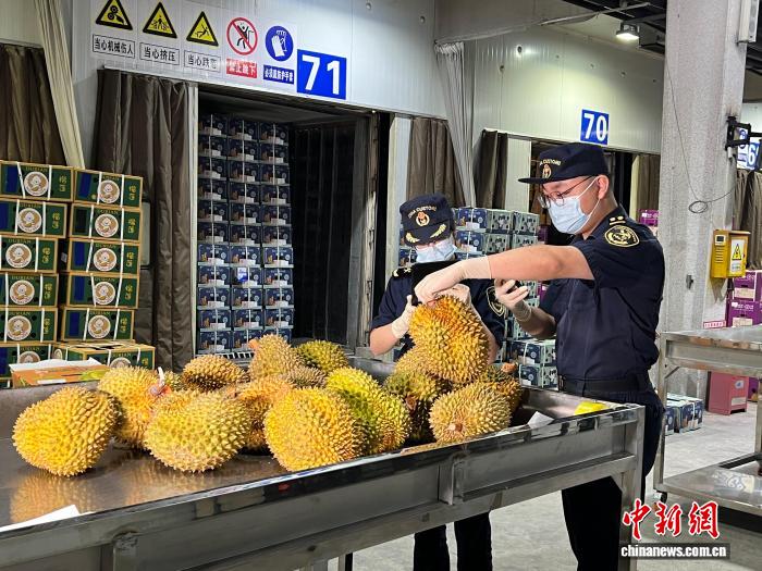 中国广西首票柬埔寨进口鲜食榴莲从友谊关口岸入境