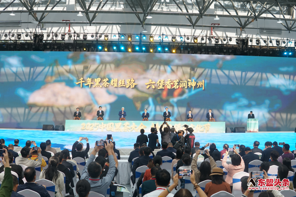 2025中国黑茶大会—2025梧州六堡茶文化节在广西梧州举办