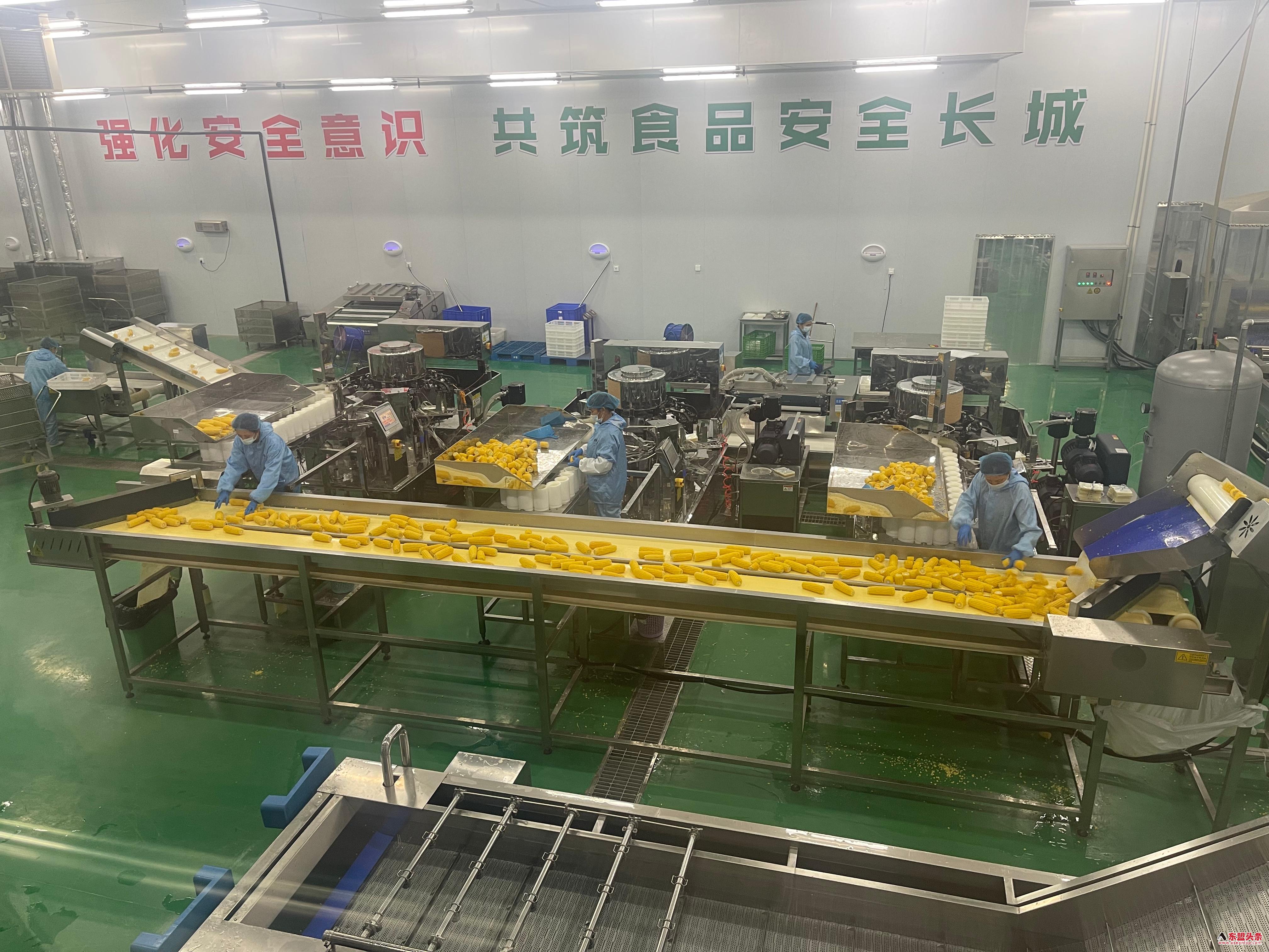 广西象州打造跨境冷链“高速路” 壮乡农产品“鲜”行东盟