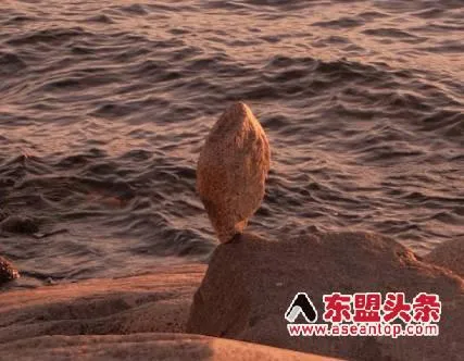 共总好发文