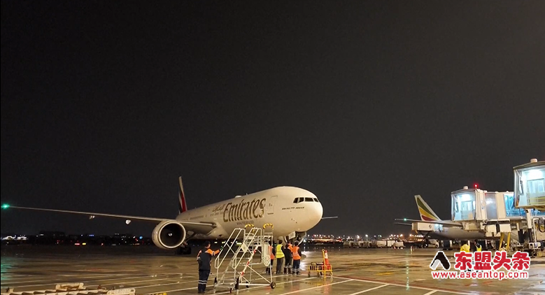 Stranded Chinese nationals return safely to Guangzhou from Dubai