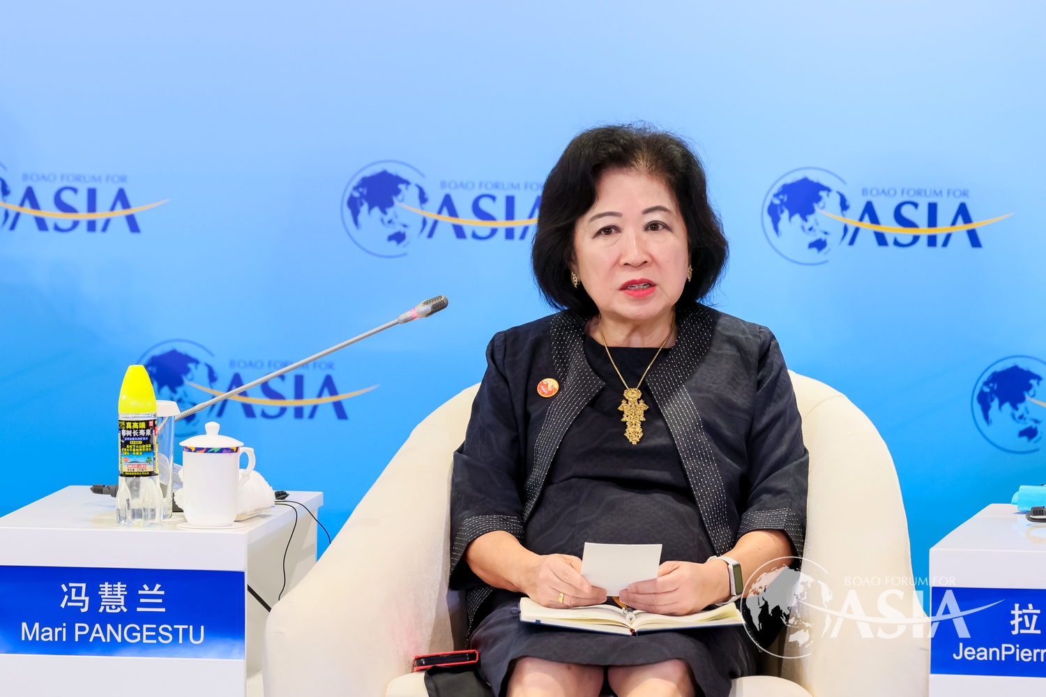 印尼国家经济委员会副主席冯慧兰：通过区域合作应对不确定性