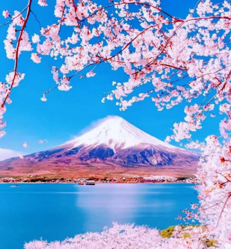 日本｜以樱花的名义，全境行摄之旅！