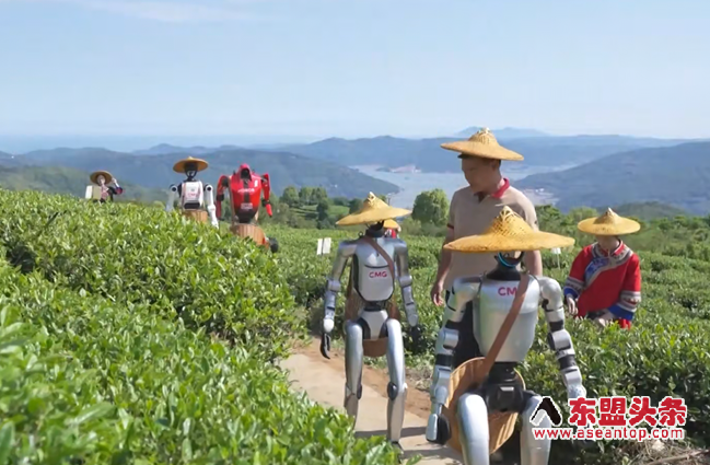 【视频】2026世界人形机器人运动会能量传递中国首站启动