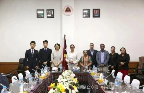 中国驻东帝汶大使王文丽会见东帝汶国民议会C委员会主席