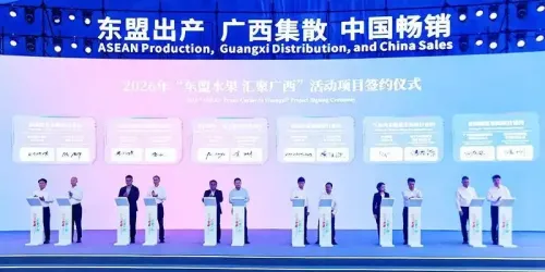让东盟水果畅销中国一批项目合作在广西达成