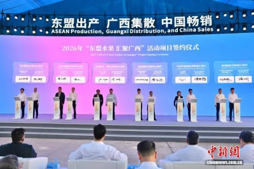 广西构筑东盟水果入华“高速路”