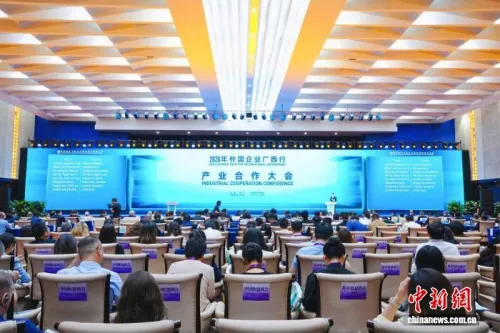 广西力邀境外优质企业共创国际产业合作新生态
