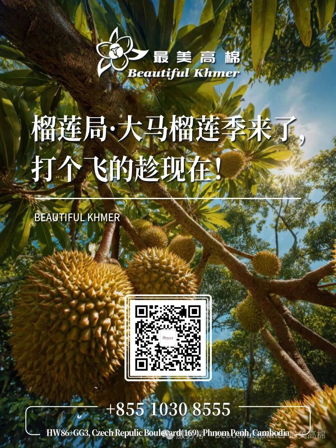 榴莲局·大马榴莲季来了，打个飞的趁现在！