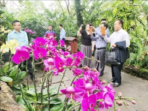 国际嘉宾南宁参访 感受中国—东盟合作成果与生态人文魅力